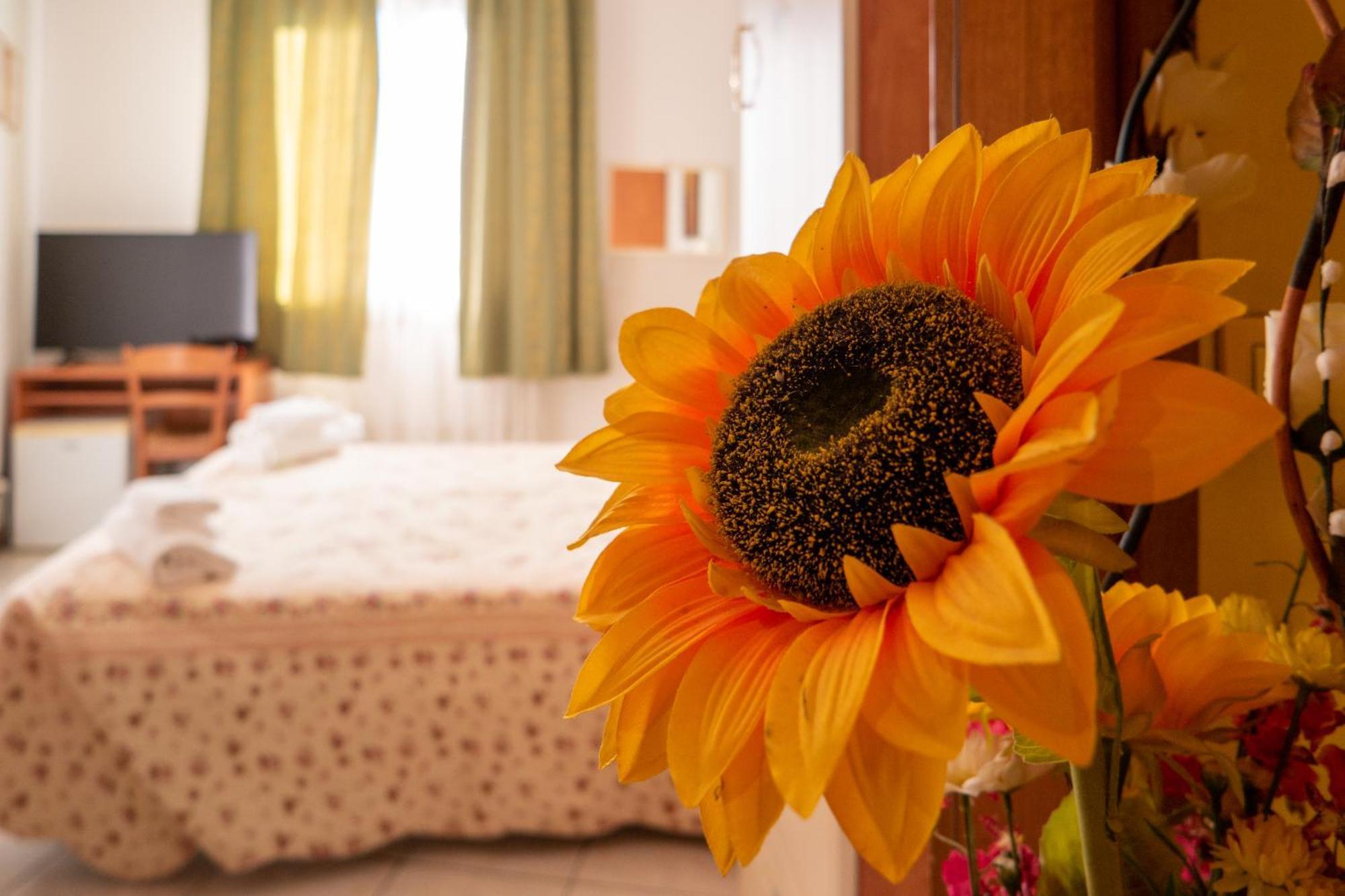 B&B New Aurora Venice Μαργκέρα Εξωτερικό φωτογραφία